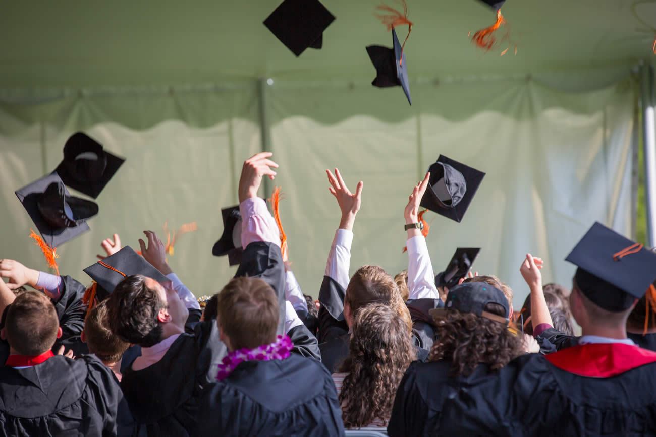 commodification of education system