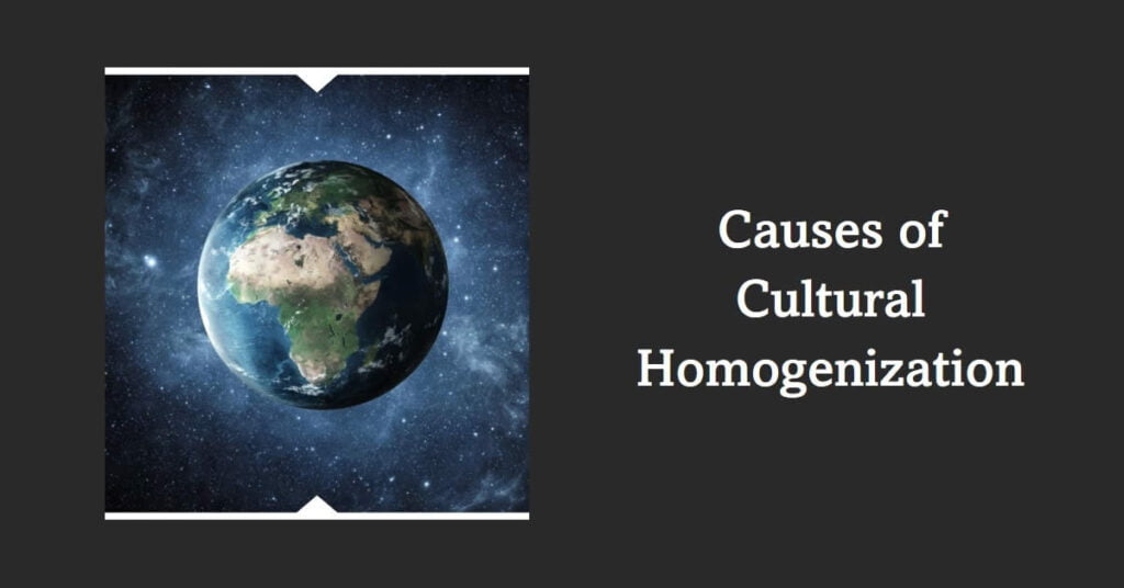 Causes of Cultural Homogenization